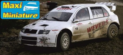 Decals 43rd skoda fabia wrc - decals,