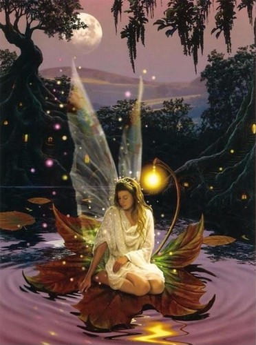 Fantasy picture fairy - picture, on