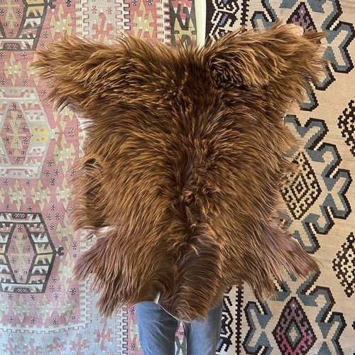 Natural angora goat skin - angora,