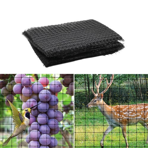 Stretched poultry net - poultry, 5m