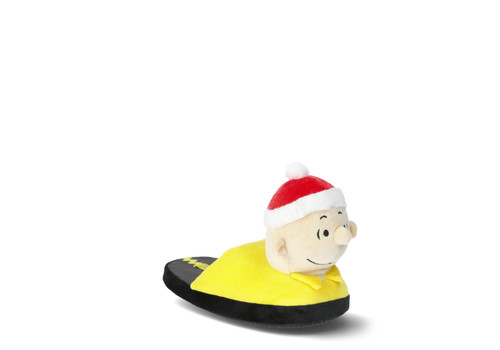 Peanuts family christmas - family,