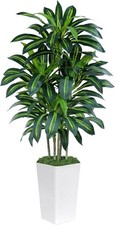 Artificial Dracaena Tree with White Planter Tropical Fake Plant Decor 150cm 