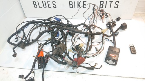 Suzuki gsf 650 - 650, bandit
