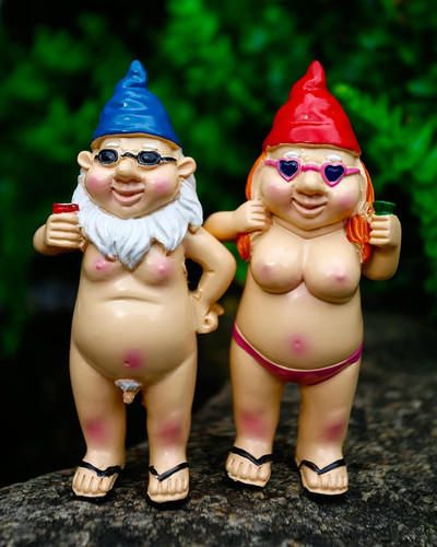 2pcs garden gnomes rude and - garden,