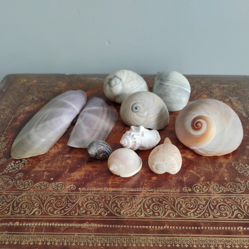 Job lot vintage spiral - job,