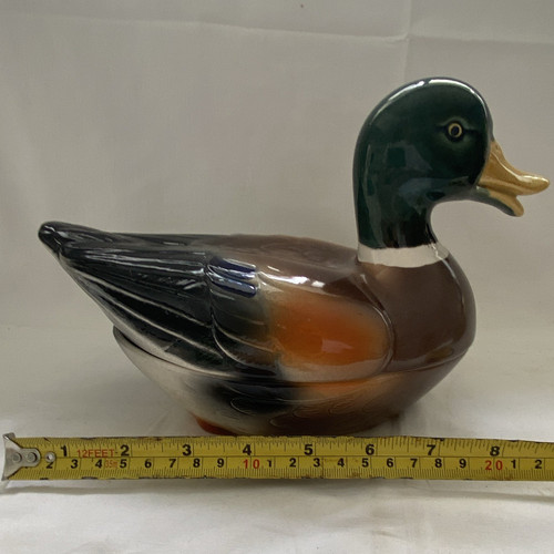 Michel caugant mallard duck - mallard,