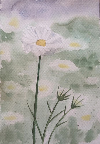Signed watercolour painting - signed,