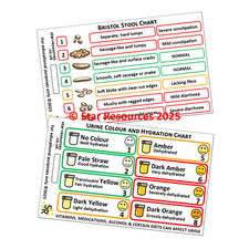 Bristol Stool and Urine Colour Charts ID Badge Card | Paramedic Flashcard