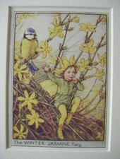 Vtg Flower Fairies Print &