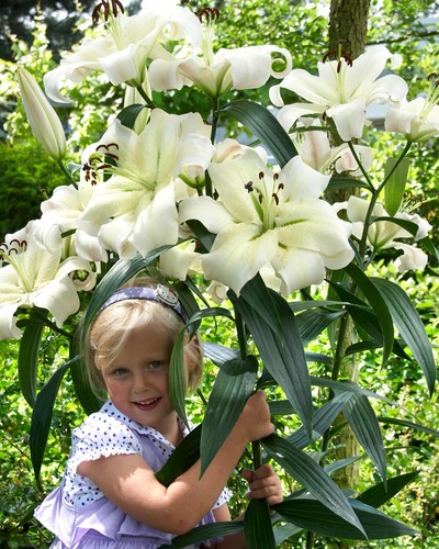 Lily pretty woman - woman, 2l