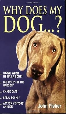 Why does dog - dog...?,, john