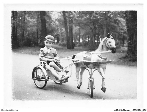 Aobp4 0222 toys wooden horse - wooden,