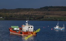 Photo 6x4 Carol Anne off