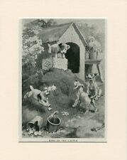 JACK RUSSELL WIRE FOX TERRIER