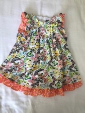 Shrinking Violet Butterfly