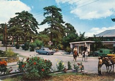 CYPRUS postcard Troodos in