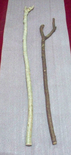 Wood walking stick shanks - 2,