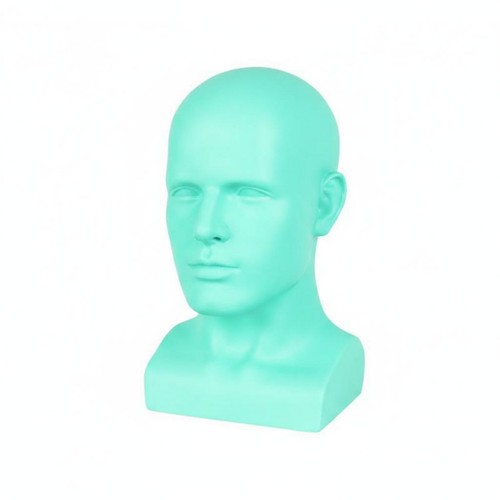Male mannequin head spray - mannequin,