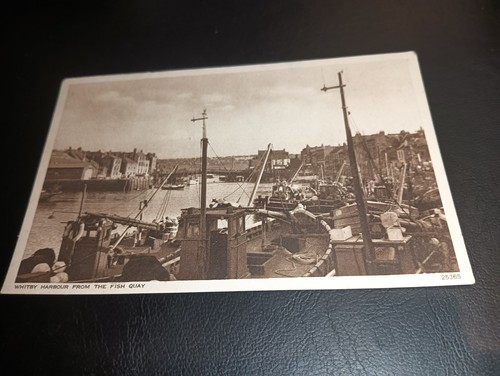 The harbour from - harbour, fish