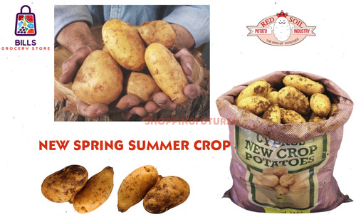 Fresh cyprus spunta potatoes - spunta,