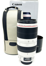 Canon EF  100-400mm f4.5-5.6 L