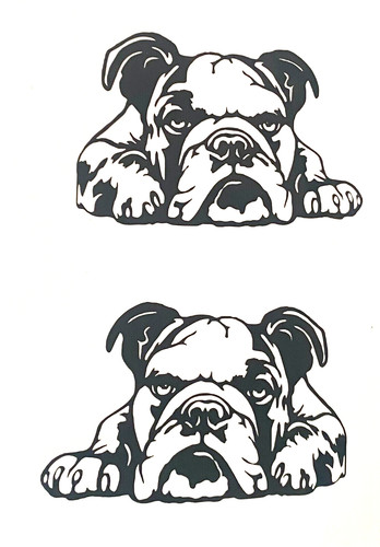 English bulldog dog - dog, vinyl