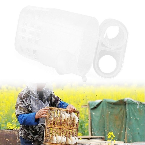 10x beekeeping rearing queen - 10x,