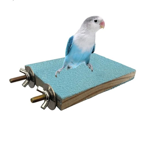 Bird paw grinding board - bird,