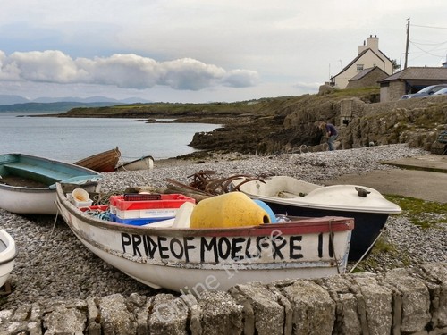 Photo 6x4 pride moelfre - 6x4, of