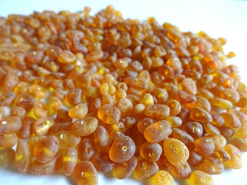 Real baltic holed amber loose - real,