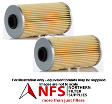 Fuel Filter x 2 (Primary &