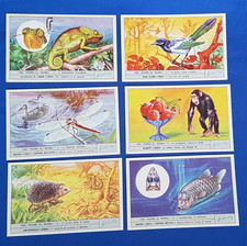 Set of 6 Liebig Cards HOW