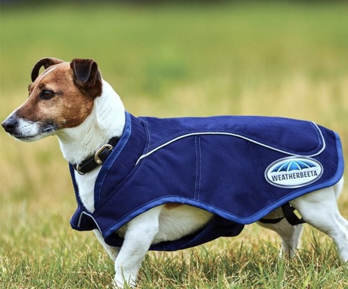 Weatherbeeta dog coat