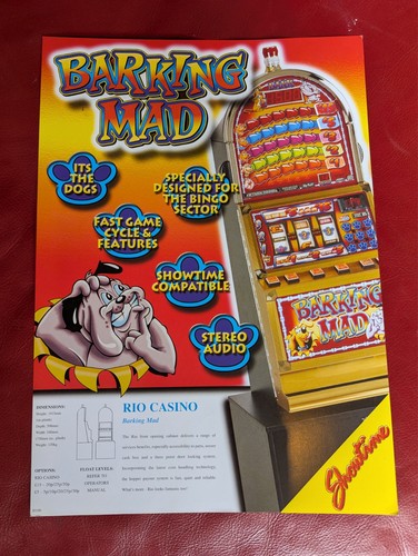 Fruit machine flyer - machine,