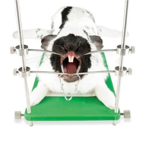 New mouth gag rodent rabbit - new,