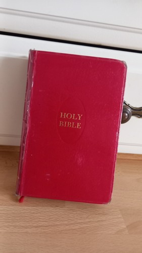 Vintage red holy bible - vintage,
