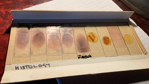 Set prepared histology - of,