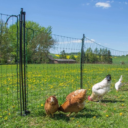 Hotline flexible poultry - hotline,