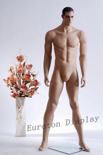 Male mannequin display figure - mannequin,