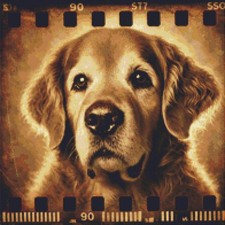 Golden Retriever Puppy Dog