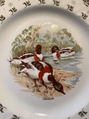 Vintage shelducks side - vintage, plate