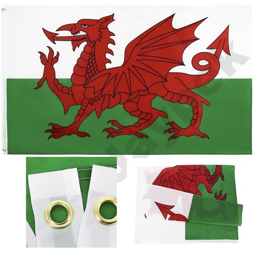 Large welsh flag - welsh, x