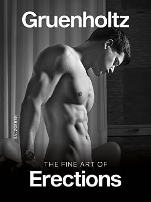 The fine art erections - the, of