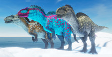 [ARK ASA PVE] Trio 55 dam Male