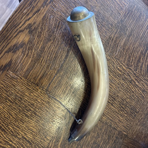 Cow horn bugle - cow,