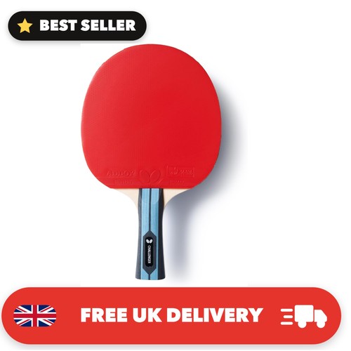 Team table tennis - table, bat