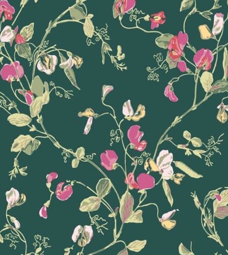 Cole and son - cole, botanical