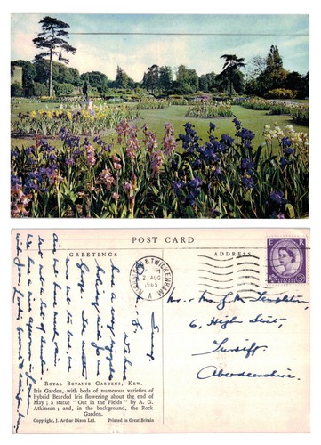 Postcard royal botanic - -,