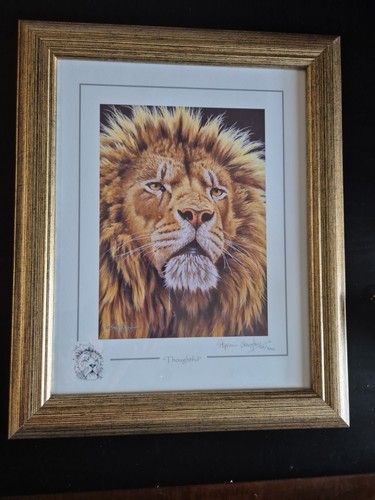 Stephen gayford wild about art - stephen,