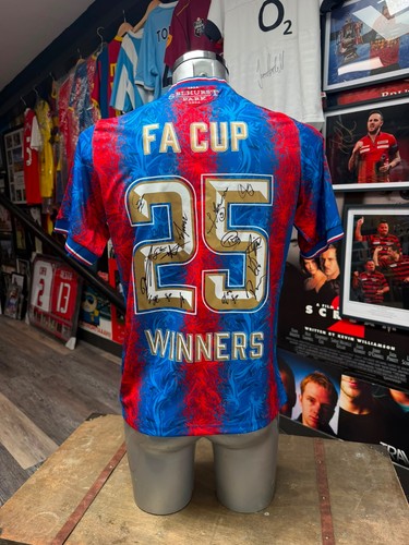 Crystal palace cup winners - palace, fa